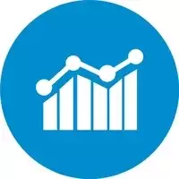 Seo Analysis